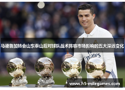 马德鲁加转会山东泰山后对球队战术阵容市场影响的五大深远变化