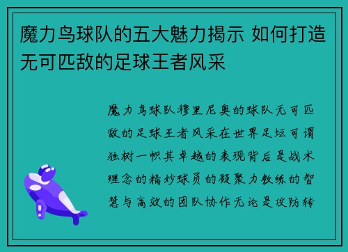 魔力鸟球队的五大魅力揭示 如何打造无可匹敌的足球王者风采 魔力鸟球队的五大魅力揭示 如何打造无可匹敌的足球王者风采